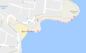 tamarama beach map