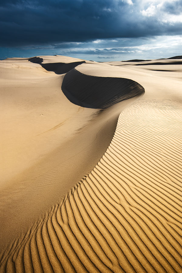 desert landscape vertical curve port stephens