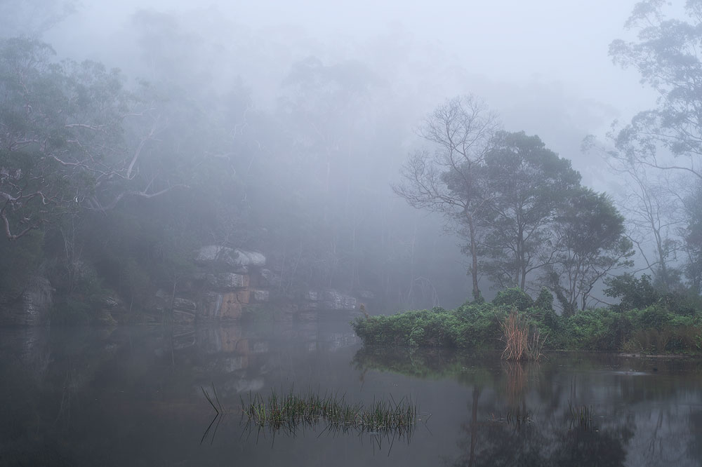 foggy autumn landscape in royal national park