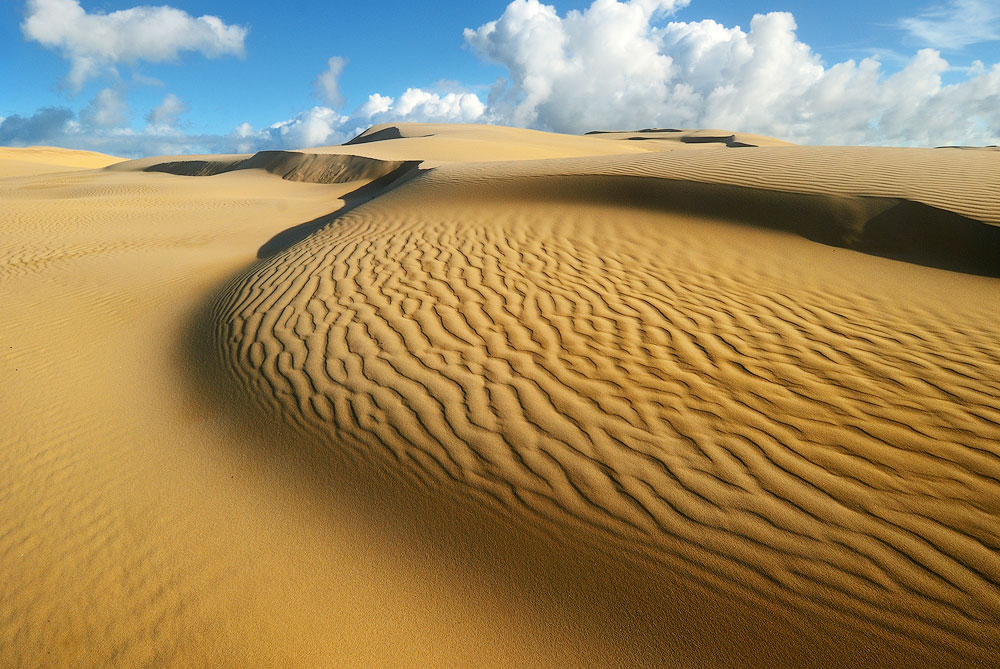 sand patterns desert