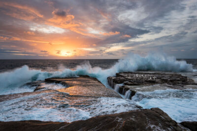 Sunrise at Clovelly Beach featuring intense waves under a warm, glowing sky, heralding the morning’s Dawn Chorus.