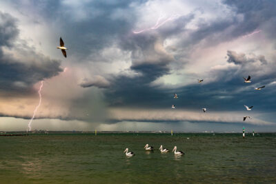 Seagulls fish in the waters of Cronulla as lightning strikes at sunset, a dynamic scene for ocean art prints.