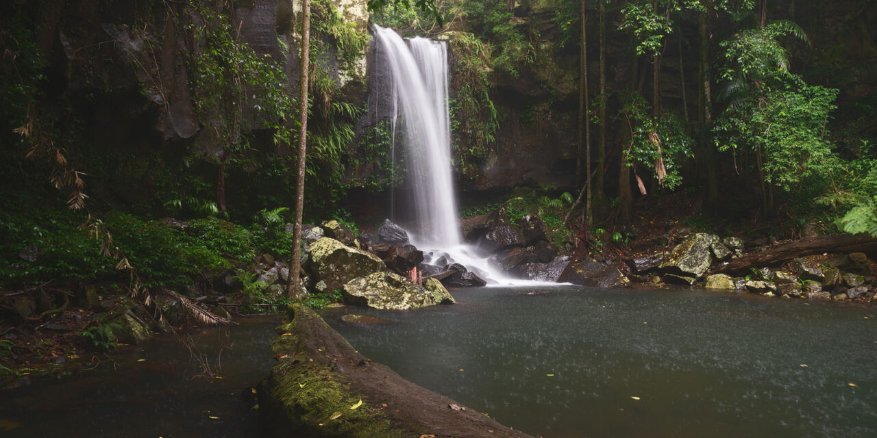 Curtis Falls at Mount Tamborine gently cascades into a tranquil pool, encapsulating the essence of mountains prints.