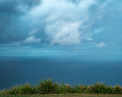 Lush grass foreground against the seamless expanse of ocean and sky in blue hues, embodying blue wall art.
