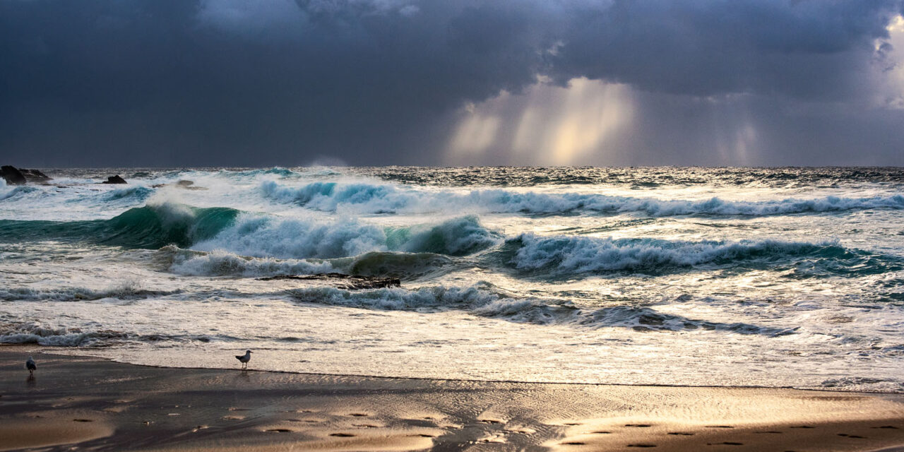 A seabird watches over stormy Maroubra Beach as morning rays pierce through dark clouds in this intense ocean art scene.