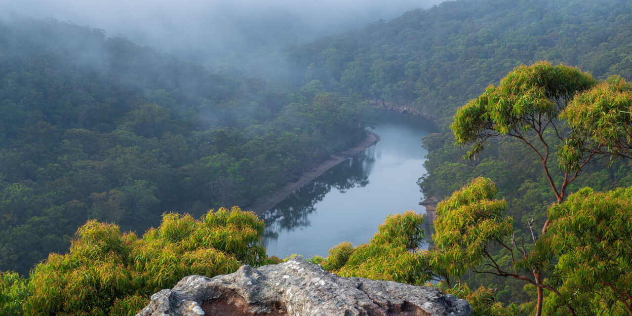 Overlooking a mist-covered river winding through the ancient landscape of Royal National Park.
