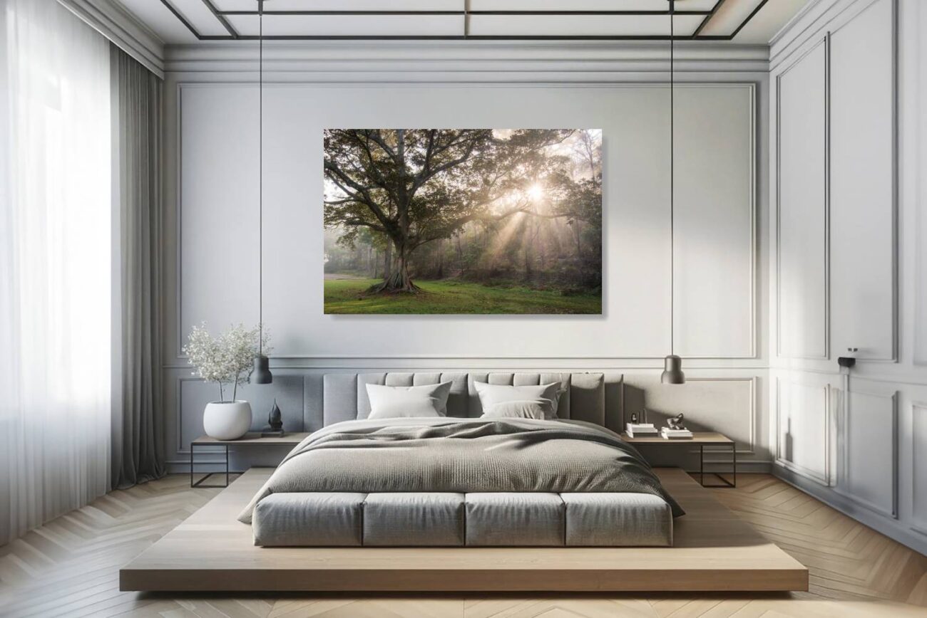 Bedroom art: Sunrays through mist at Royal National Park, a serene and inspiring print for bedroom decor.