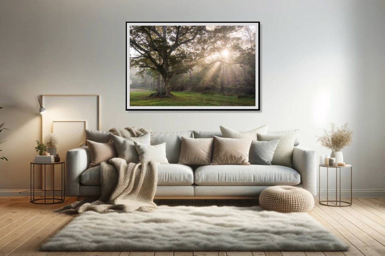 Living room art: Inspiring nature print of sunrays piercing through mist in Royal National Park, perfect for the living room.