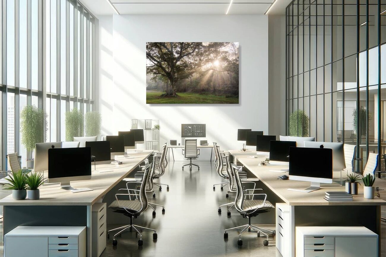 Office art: Nature print of sunrays piercing mist in Royal National Park, uplifting and inspiring for office settings.