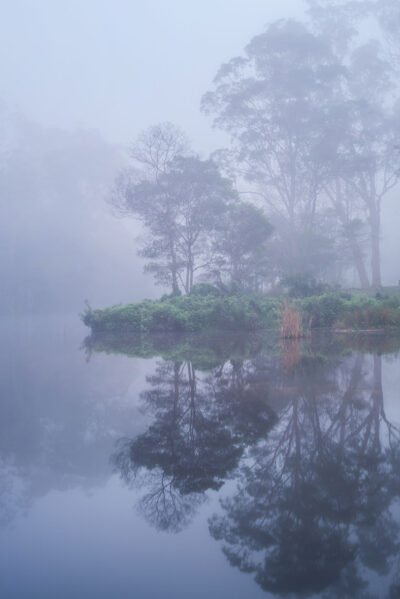 Royal National Park photo with graphic-like fog over water, ideal for minimalist wall art.