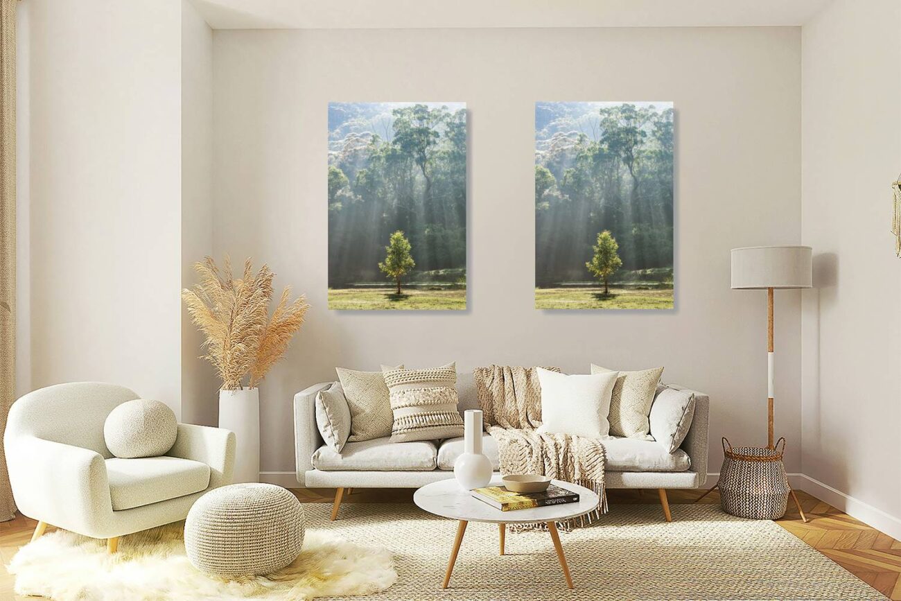 Living room art: Burst of sunlight filtering through a verdant canopy, a peaceful forest setting ideal for living room decor.