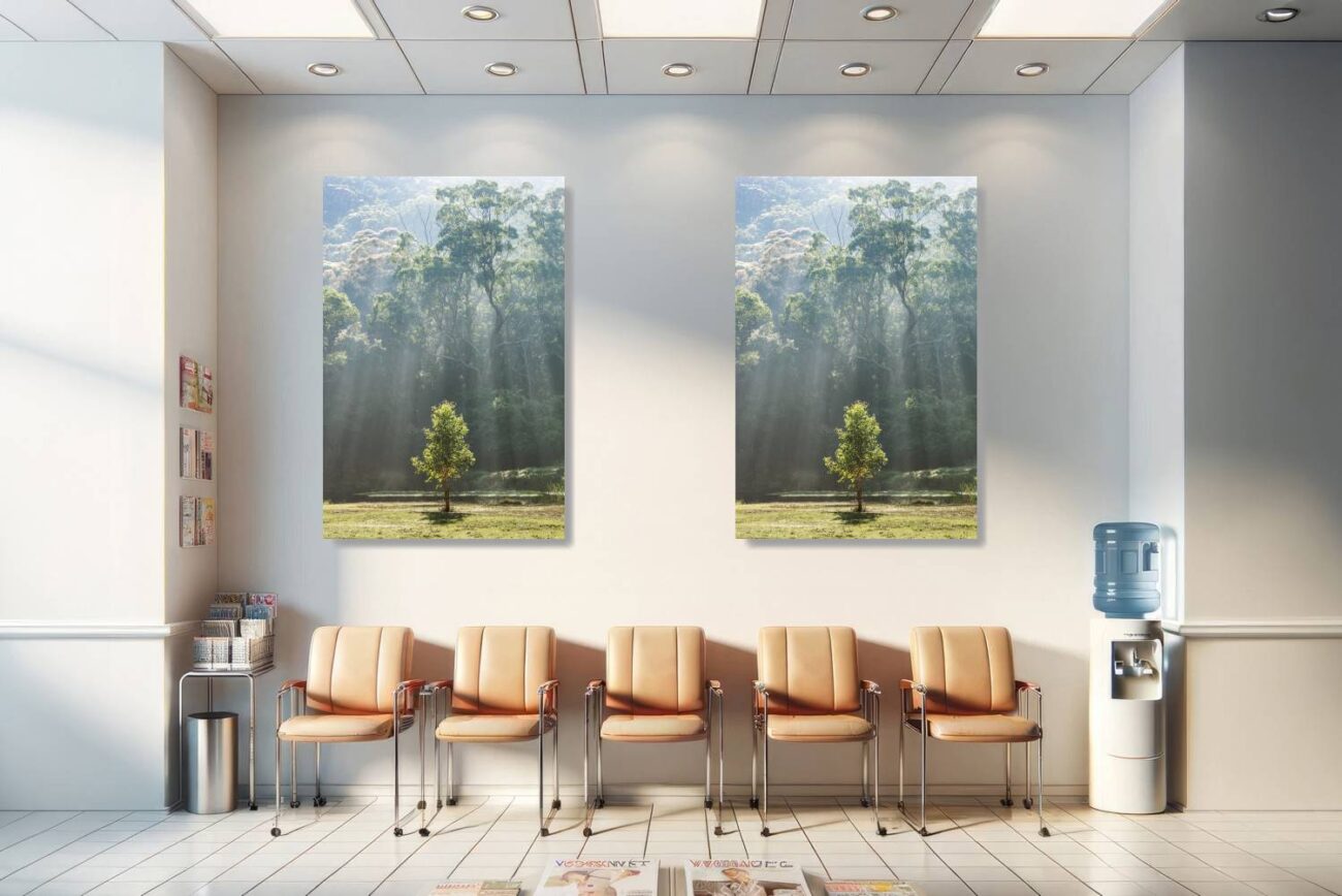 Medical office art: Tranquil forest art featuring sunlight filtering through a verdant canopy, calming and soothing for medical settings.