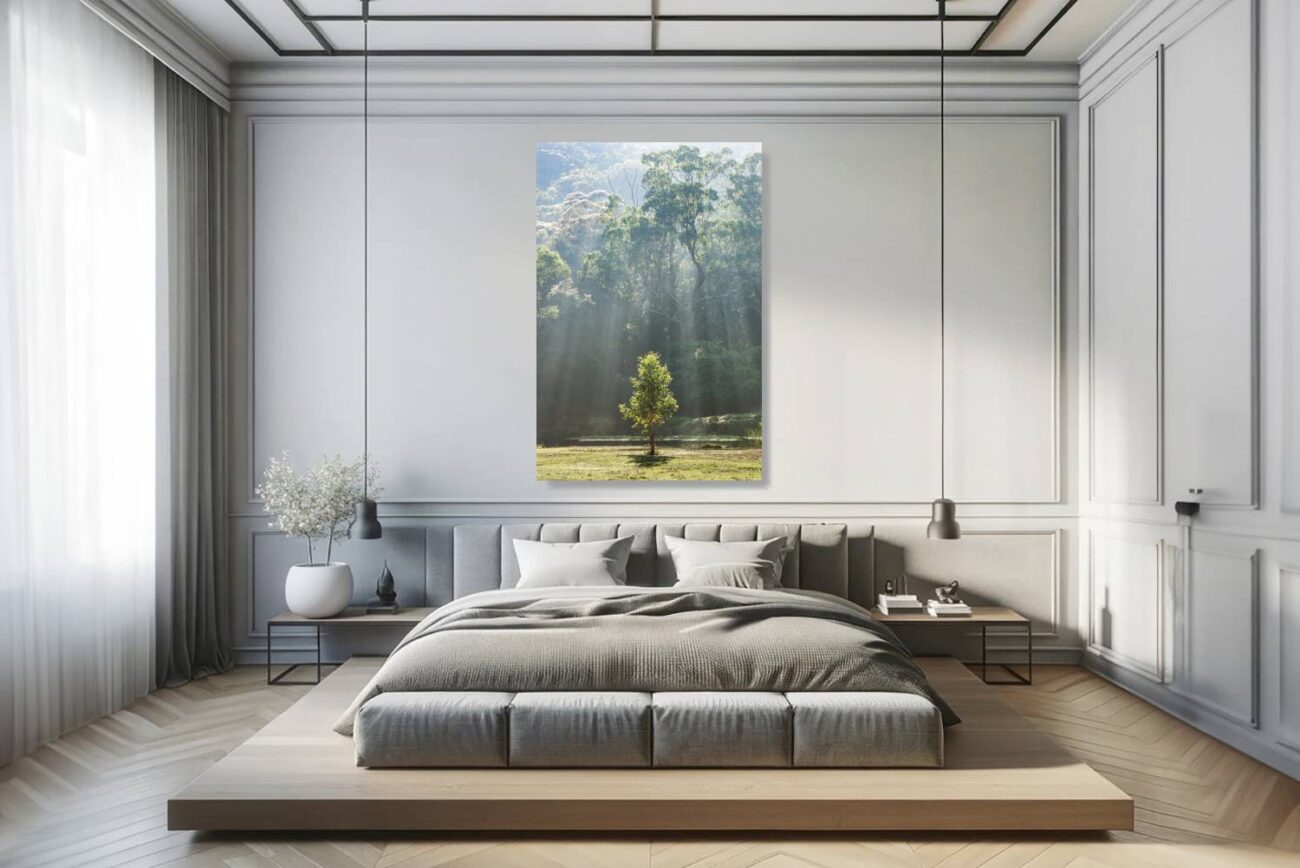 Bedroom art: Peaceful forest scene with sunlight bursting through green canopy, soothing for bedroom ambiance.