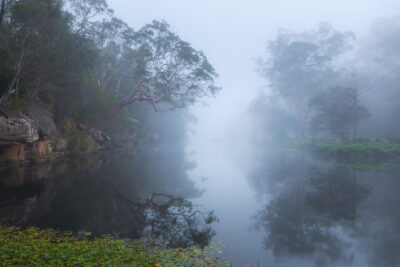 Tranquil morning at Royal National Park with fog over calm waters, a serene nature print.