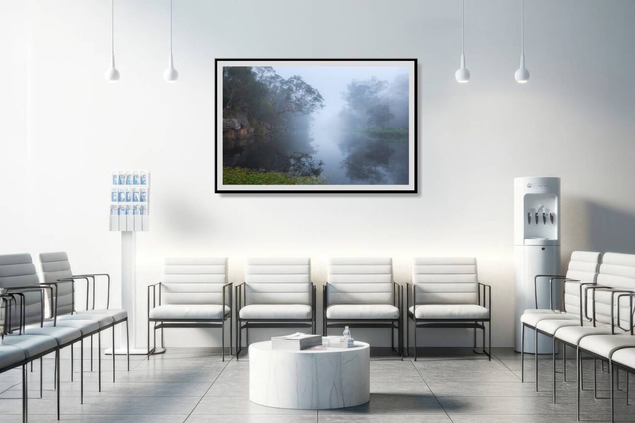 Medical office art: Peaceful nature print from Royal National Park, fog over calm waters, soothing for medical environments.
