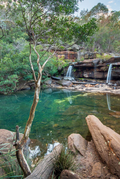 A tranquil pool reflects the sky and the waterfall, surrounded by vibrant greenery in the Royal National Park.