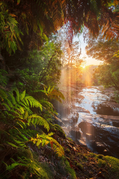 Sunlight filters through a waterfall at Royal National Park, creating a natural scene of 'Sun Worship'.