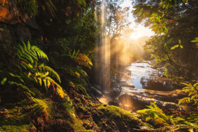 Sunrise seen from under the waterfall in Royal National Park, a tranquil 'Sunbeam Forest Ritual'.
