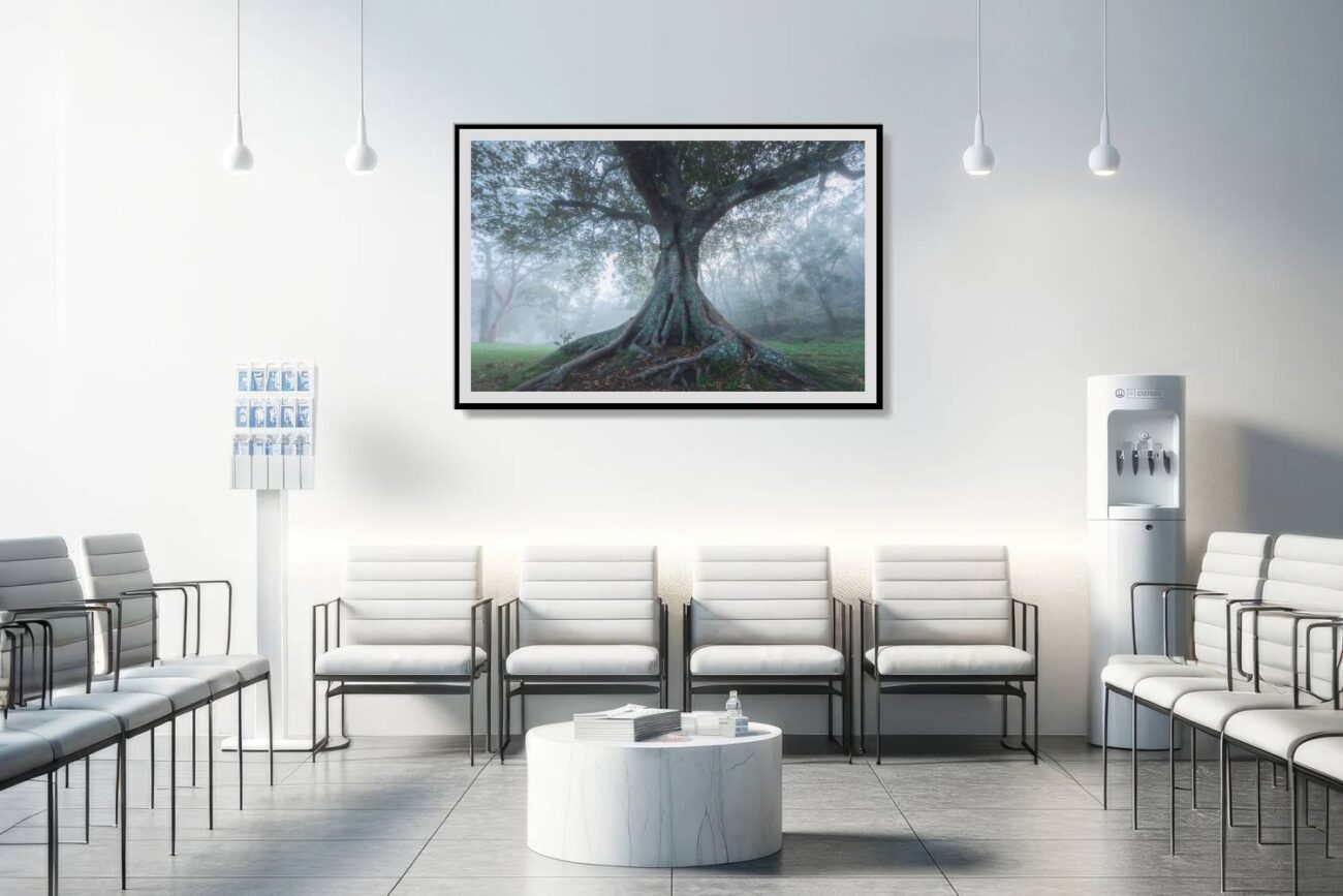 Medical office art: Tranquil nature-inspired art featuring a majestic gum tree in a misty setting, soothing for medical environments.