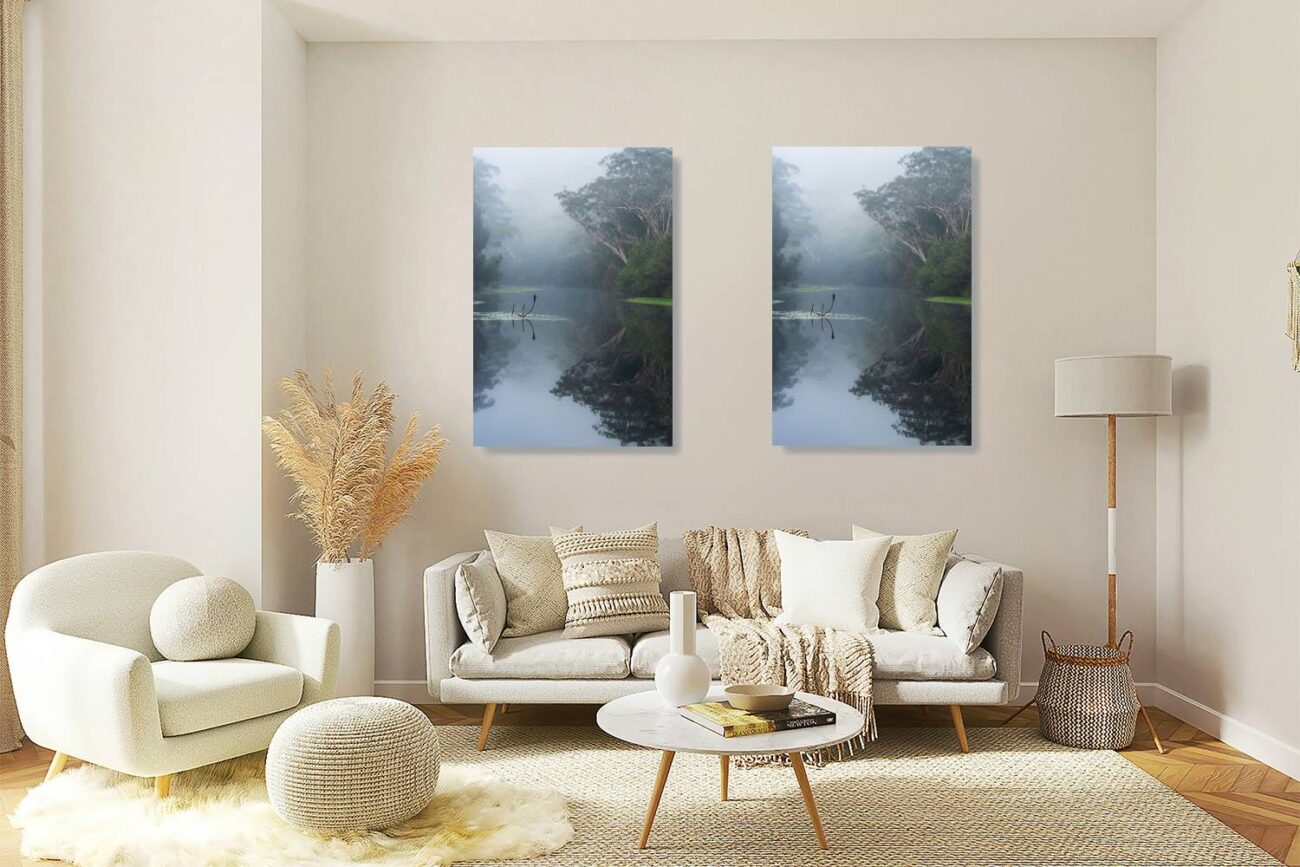 Living room art: Perfect mirror reflection of a serene forest in Royal National Park, ideal for tranquil living room tree art.