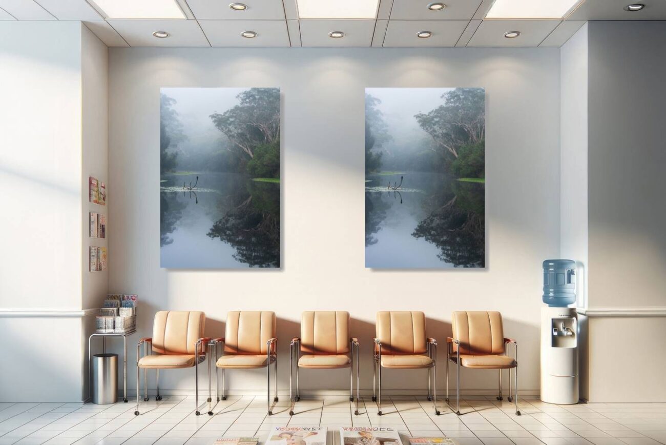 Medical office art: Tranquil tree art of a serene forest reflection in Royal National Park, calming for medical environments.