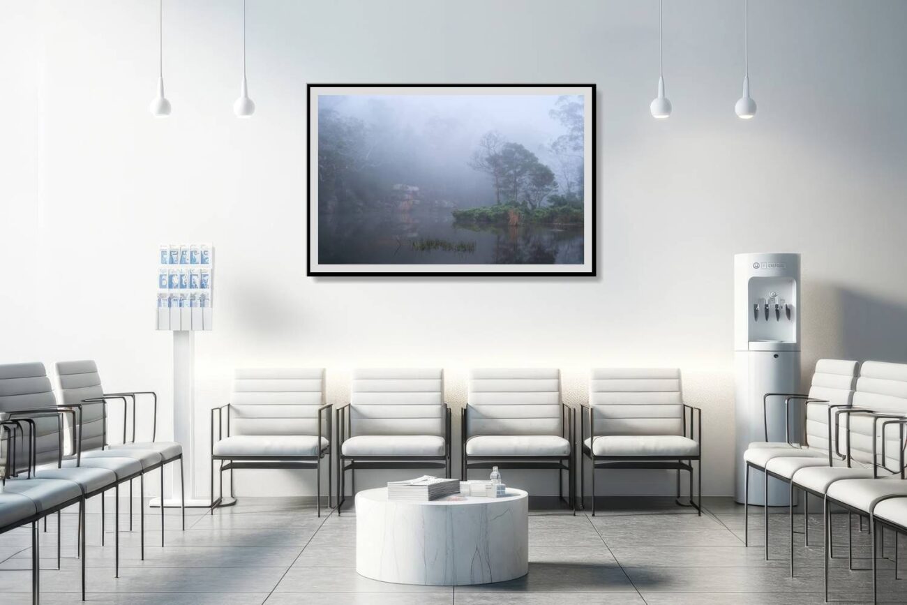 Medical office art: Mysterious and soothing tree print of a foggy forest in Royal National Park, ideal for calming medical environments.