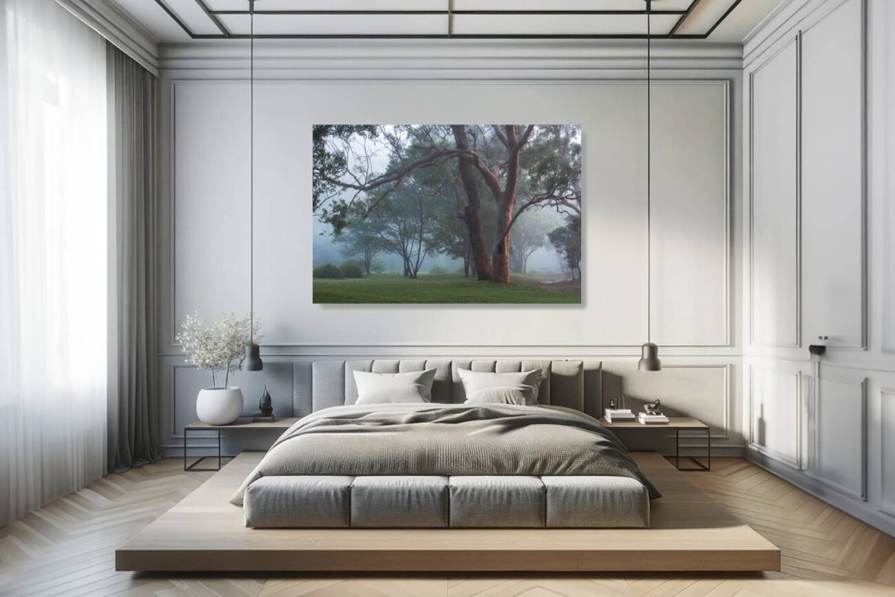 Bedroom art: Serene trees art of a misty morning with intertwined trees at Royal National Park, perfect for calming bedroom decor.