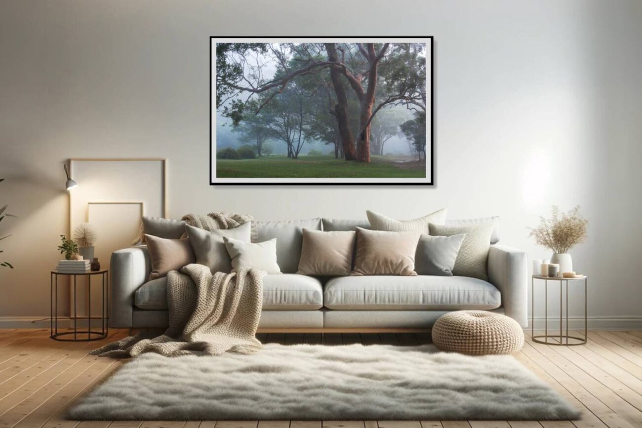 Living room art: Misty morning at Royal National Park, intertwined trees creating a serene art scene for the living room.