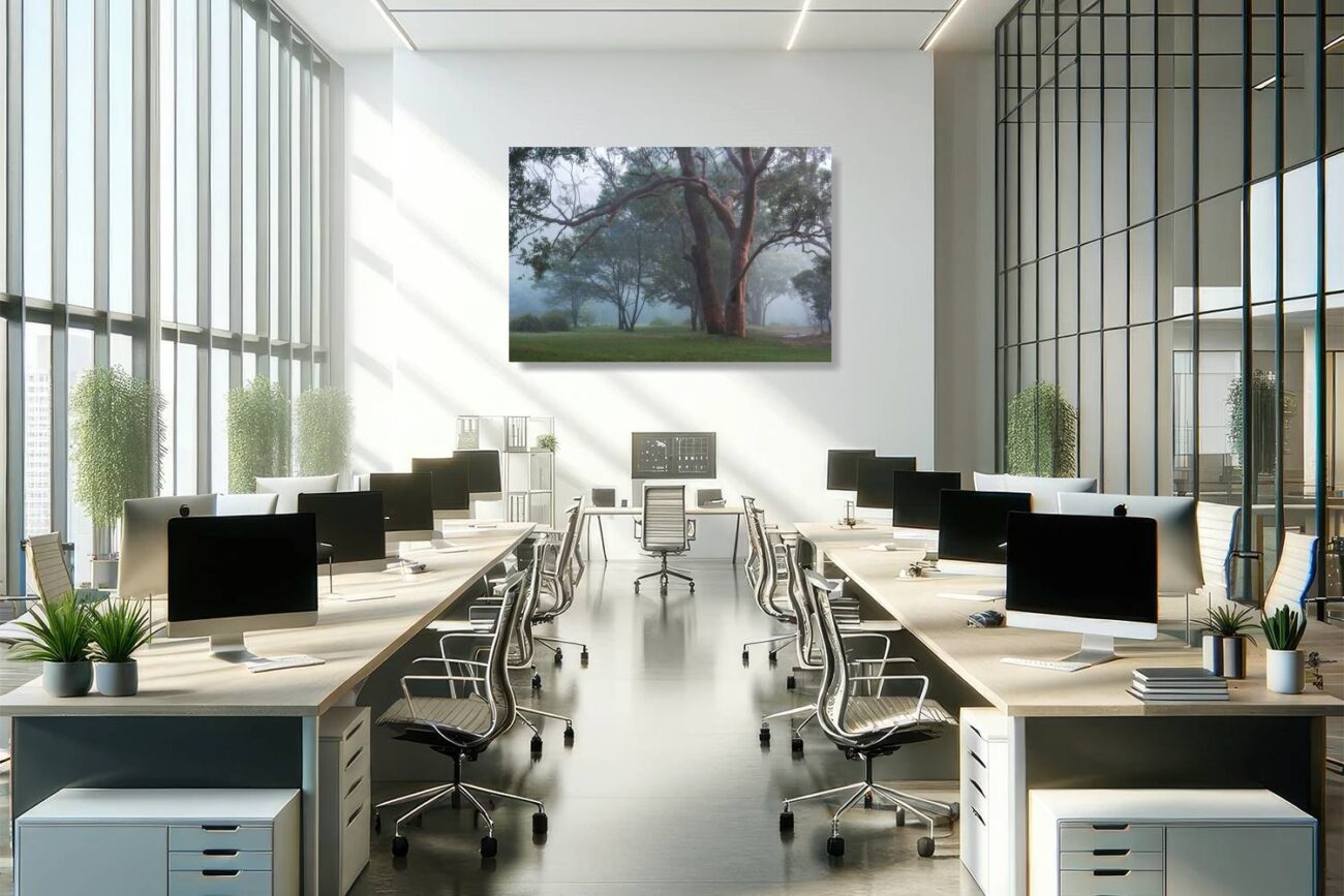 Office art: Intertwined trees in a misty Royal National Park morning, serene trees art ideal for office ambiance.