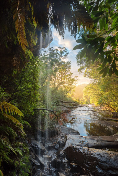 Waterfall descending through vibrant greenery at Royal National Park, embodying the essence of forest art.